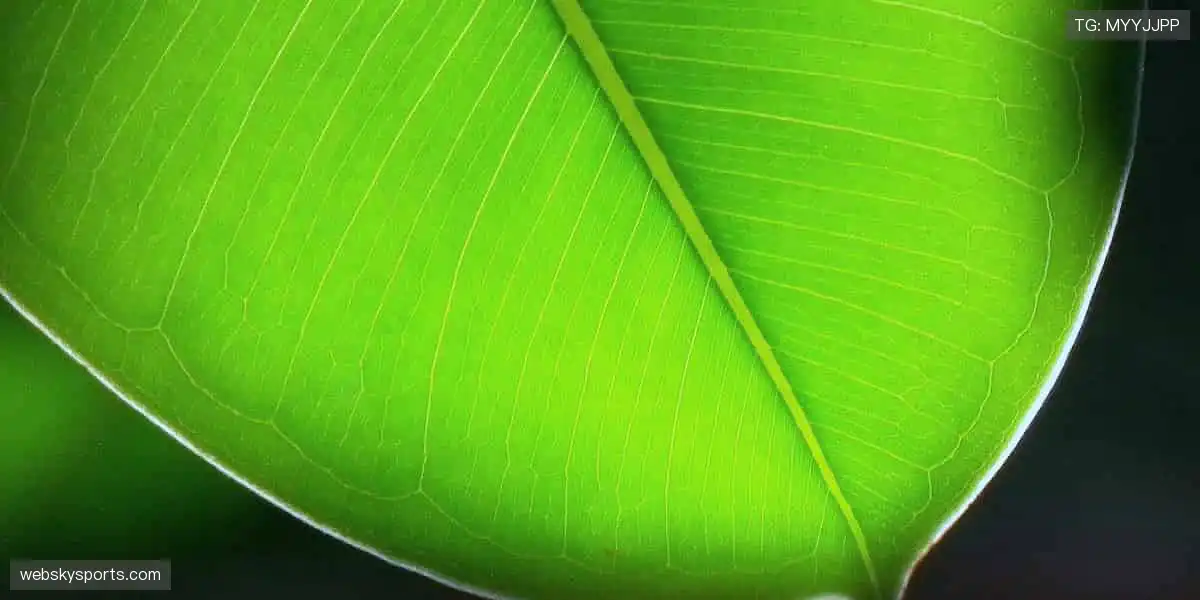 slider-1 Image